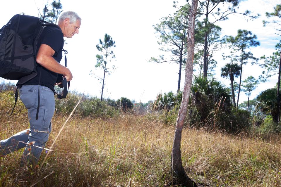 Andrew West tests a motion sensor camera he has set up in the Corkscrew Regional Ecosystem Watershed in early December of 2021.  