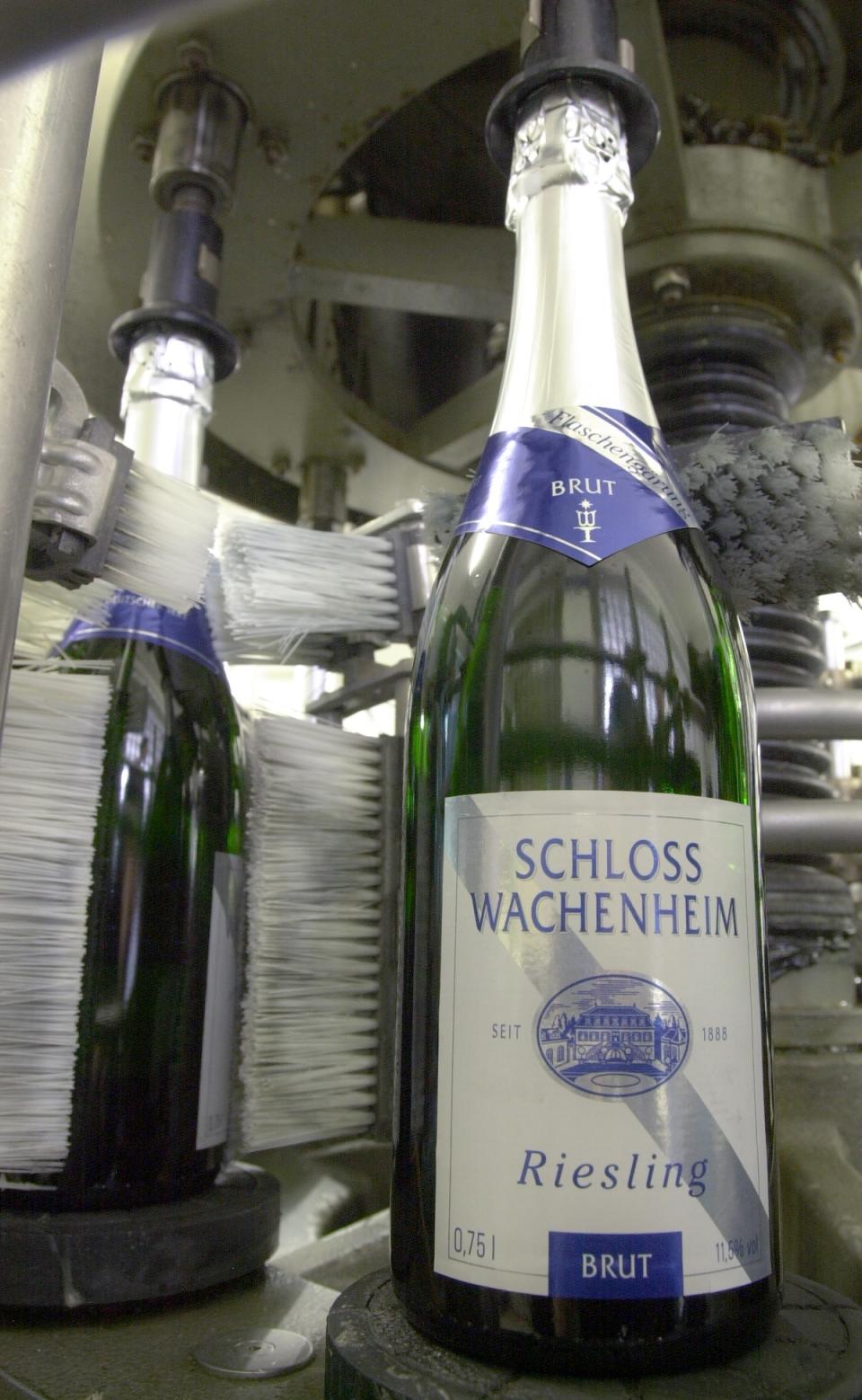 <p>Schloss Wachenheim Sekt findet sich in jedem gut sortierten Supermarktregal. Das Getränk wird in der Pfalz hergestellt und kann landesweit genossen werden. (Foto: ddp) </p>