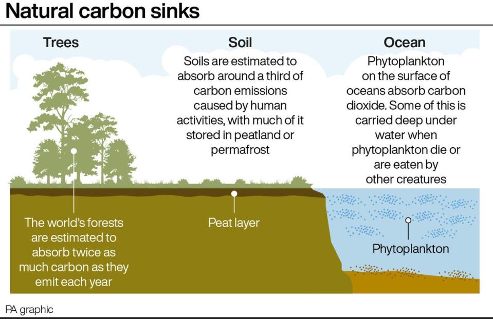 How landscapes can catch carbon (PA Graphics)
