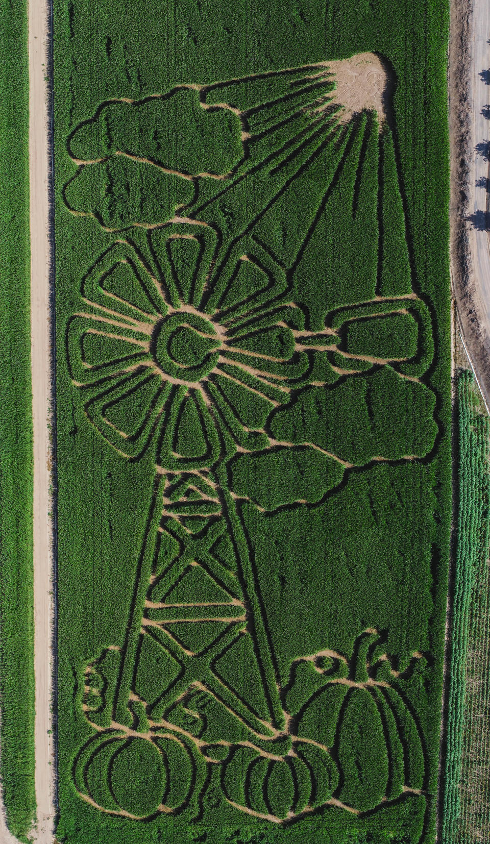 An aerial view of the Mesilla Valley Maze's fall 2023 corn maze, featuring a windmill and pumpkins on a sunny day.