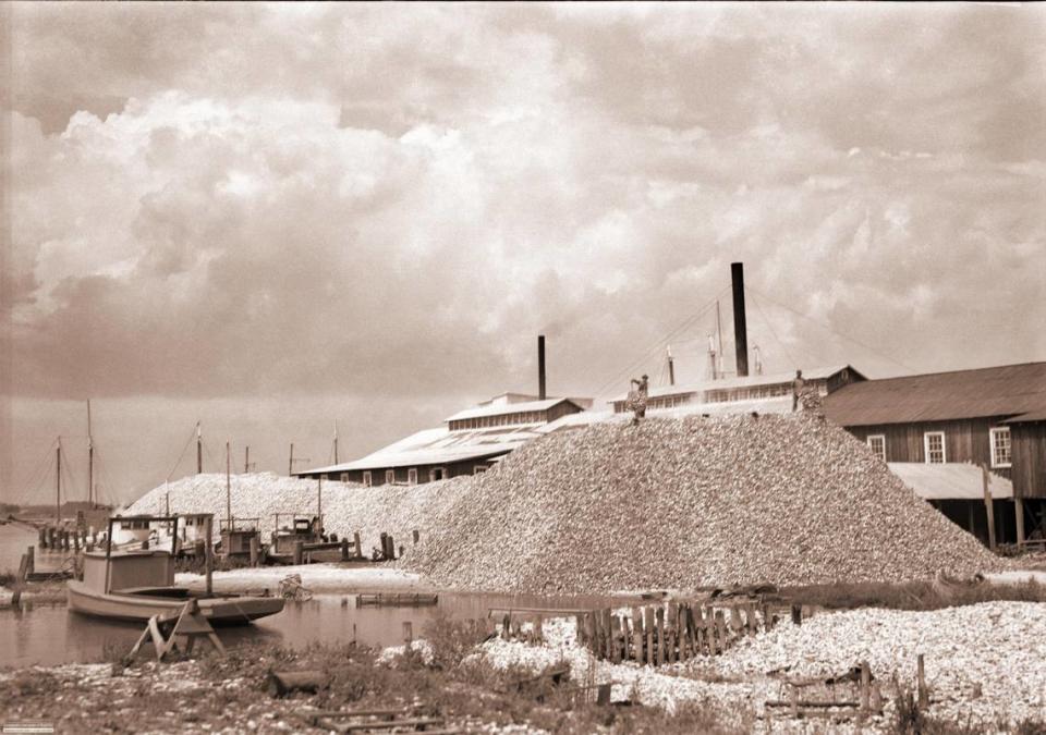 In this historic photo, mountains of oyster shells sit on the docks beside seafood factories in East Biloxi, now home to casinos. A series of natural disasters have decimated the Mississippi Sound’s once-bountiful public oyster reefs, which the state is hoping private oyster farmers can return to productivity. Anthony Ragusin Collection/Courtesy Maritime & Seafood Industry Museum