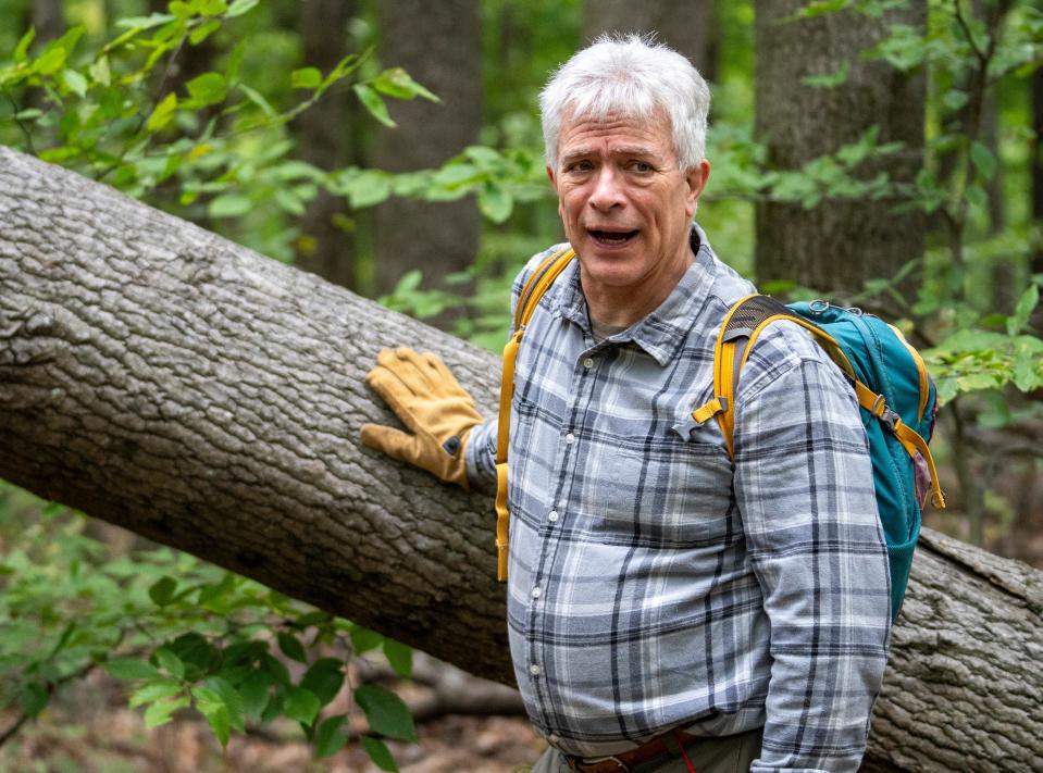 Jeff Stant, executive director at Indiana Forest Alliance, hikes through a portion of the Hoosier National Forest that would become part of the Charles C. Deam Wilderness Area under Sen. Braun's bill.