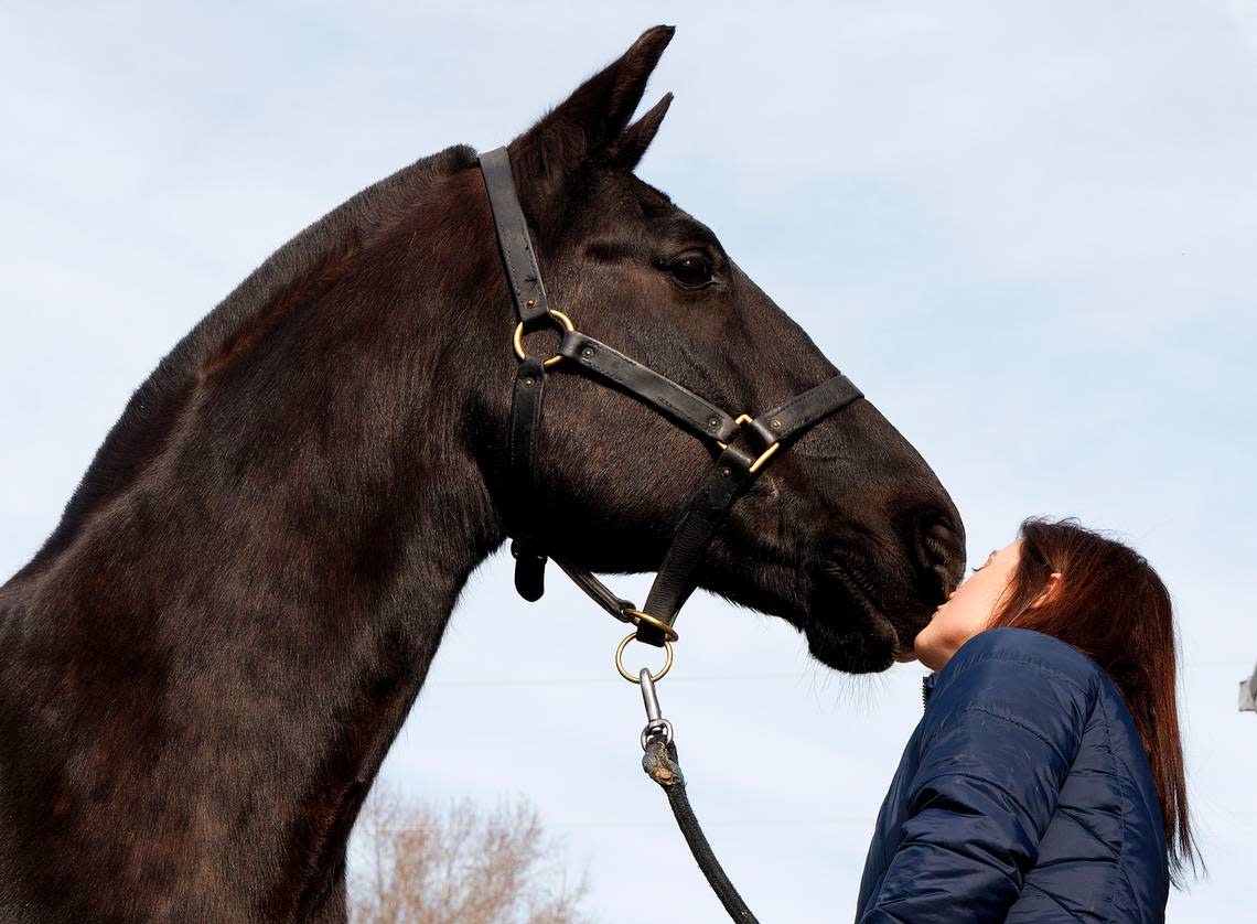 Olivia Turner kisses Klinger, a retired military working equine, at a farm in Zebulon, N.C. on Wednesday, Dec. 13, 2023. Turner adopted Klinger, a horse formerly with the Army caisson platoon, in November.