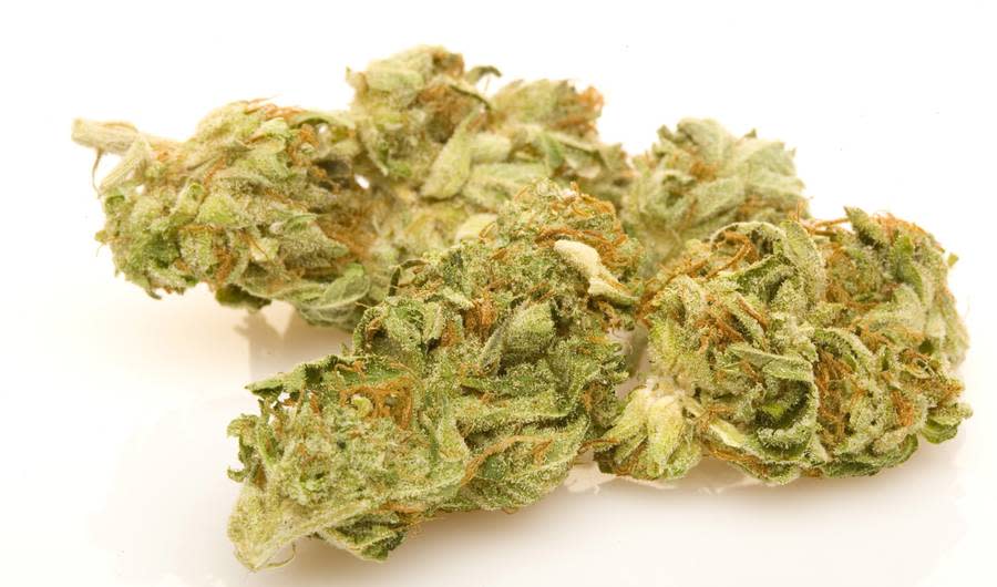 Where Do Marijuana Strain Names Come From? Origins of Sour Diesel, OG Kush and More