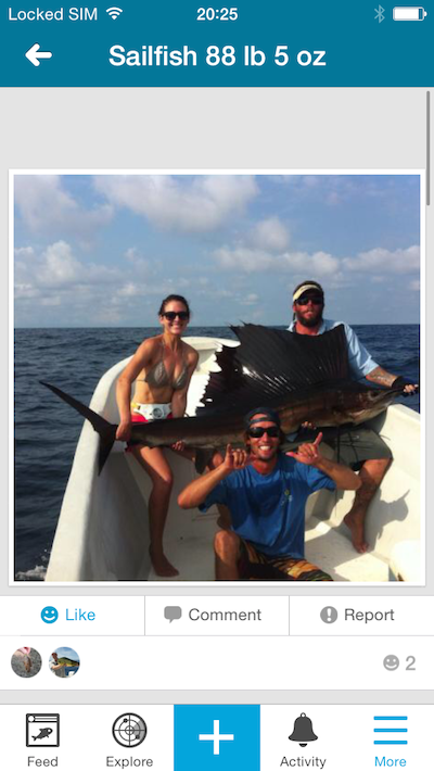 Sailfish, Fishbrain