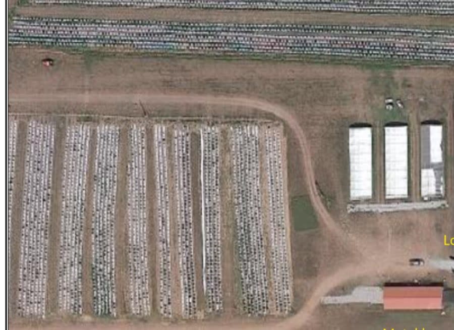 Four Family Grow, LLC in Vinita, Oklahoma. (Photo courtesy: Oklahoma Bureau of Narcotics Marijuana Enforcement Teams)