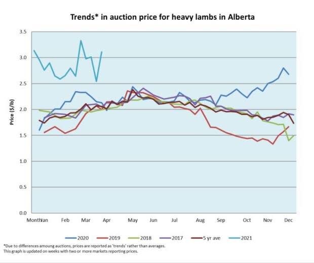 The turquoise line at the top of the graph represents this years price-per-pound for heavy lamb compared to previous years. The information is provided by Alberta Lamb Producers and is based on selling prices at Alberta auctions.  