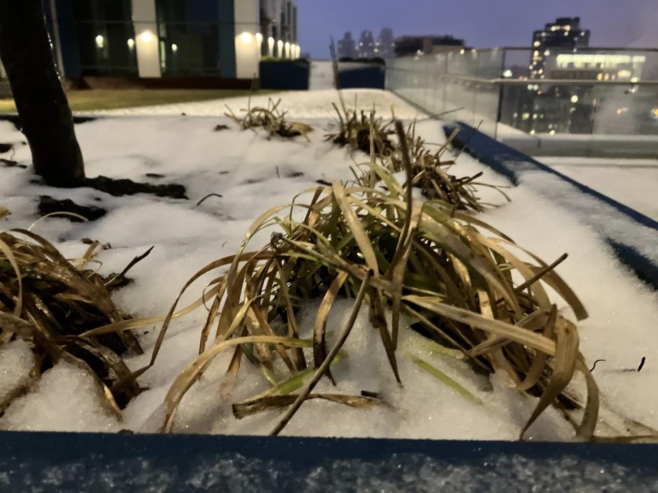 <p>A sample photo from the iPhone SE (2022), featuring a snow-covered plant potter.</p>
