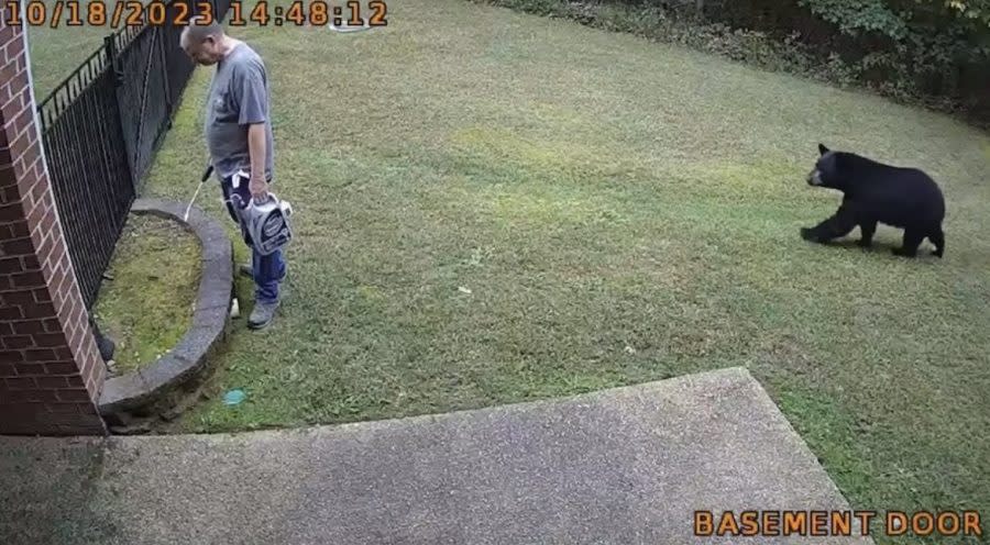 Video captured by a security camera shows John Barr of Goochland County tending to his garden while a bear walks into his backyard. (Courtesy of Debra Barr)