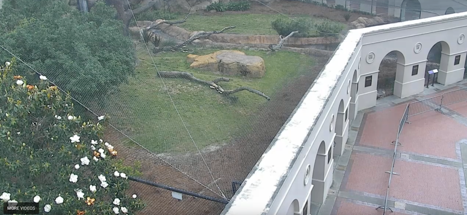 The temporary fencing LSU put up can be seen on the right. 