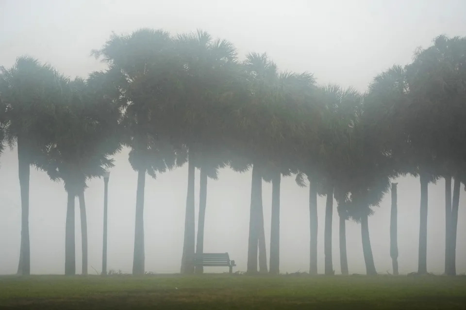 Palm trees in the mist falling on Vinoy Park in St. Petersburg, Florida, as Hurricane Milton is expected to make landfall late on October 9, 2024 in Florida. Florida residents fled or just hunkered down in the final hours Wednesday before massive Hurricane Milton pummels the state, as government emergency relief efforts were dragged to the center of the US election. (Photo by Bryan R. SMITH / AFP) (Photo by BRYAN R. SMITH/AFP via Getty Images)