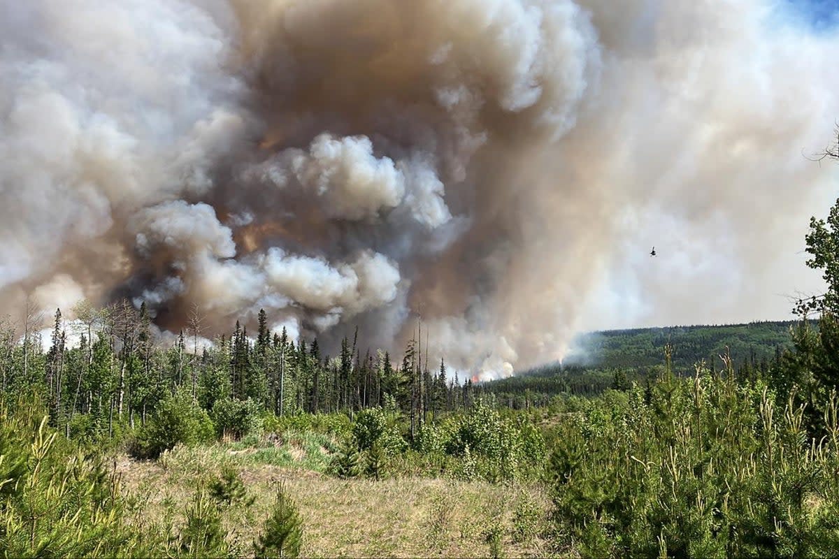  (BC Wildfire Service/AFP via Gett)