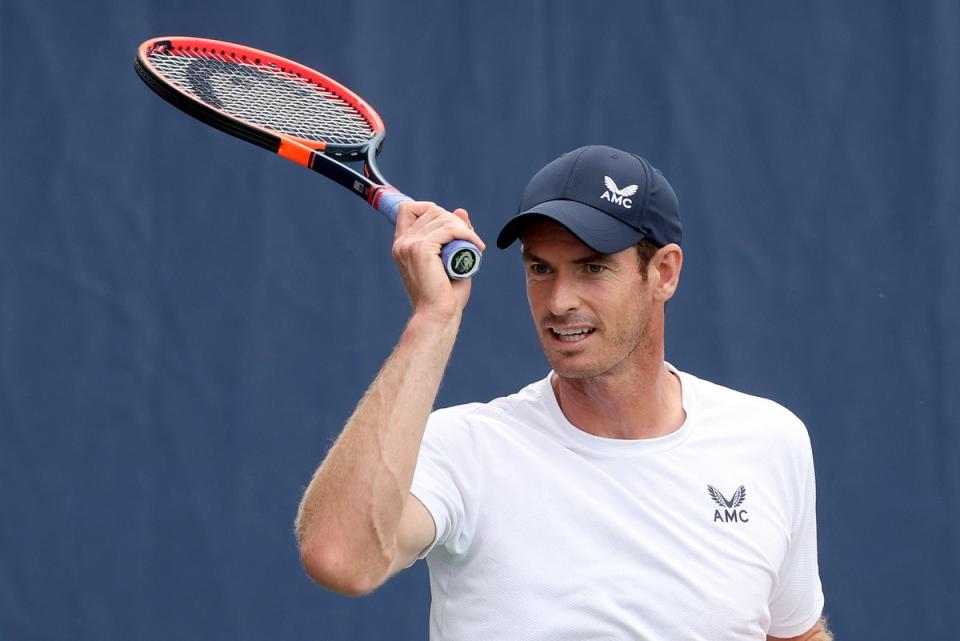 In the mix: Andy Murray  (Getty Images)