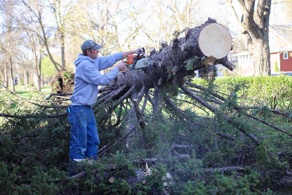 Lee Gilkerson saws at the large tree that fell in front of his house on Friday, May 13. The house, which is near SDSU's campus in Brookings, used to belong to his great, great grandfather, Neil Hanson, who was a well-known horticulturist at SDSU. Gilkerson said he was looking out the window during the storm the night before, shocked at how dark it had gotten, when he saw the whoosh of the branches falling down.