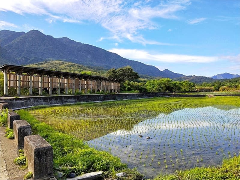 羅山遊憩區。