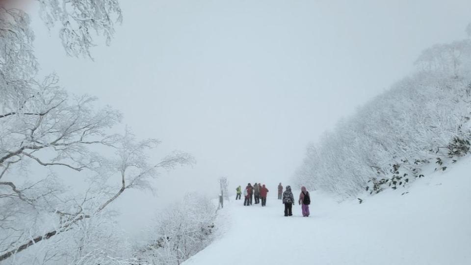 TOMAMU度假村的雪景。( 圖 / TVBS )