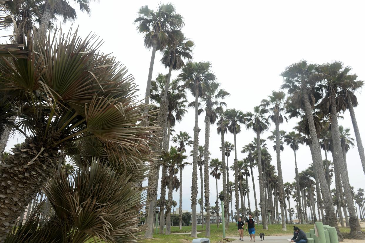 Port Hueneme is dedicating a portion of its beach walkway Sunday to longtime councilman and mayor Jonathan Sharkey during a ribbon-cutting at 2 p.m.