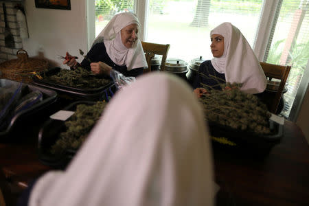 California "weed nun" Christine Meeusen, 57, who goes by the name Sister Kate (L), and India Delgado, who goes by the name Sister Eevee, trim hemp in the kitchen at Sisters of the Valley near Merced, California, U.S., April 18, 2017. REUTERS/Lucy Nicholson