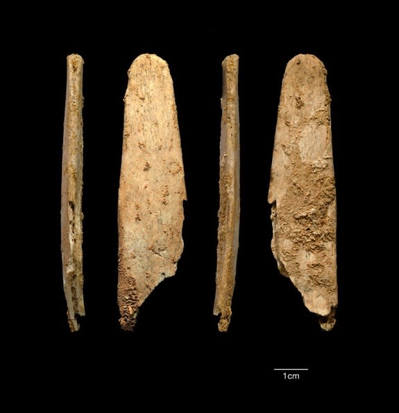 Neanderthals may have crafted what are the oldest examples of a kind of bone tool called a lissoir, which was used to smooth out hides to make them tougher. Here, the most complete lissoir found during excavations at the Neanderthal site of Abr