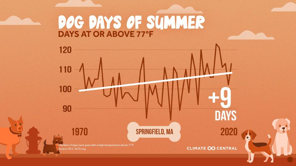 In the region around Worcester, the number of days every summer that are dangerous for our dogs has risen steadily since 1970 due to climate crisis.