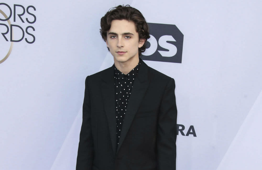 Timothée Chalamet's West End debut is no more credit:Bang Showbiz