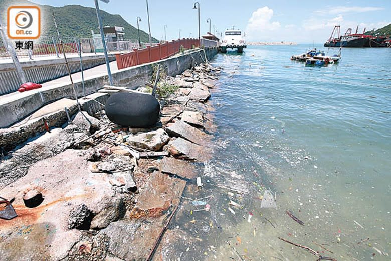 碼頭附近海面充斥海上垃圾，海事處指過去一年接獲7宗投訴。