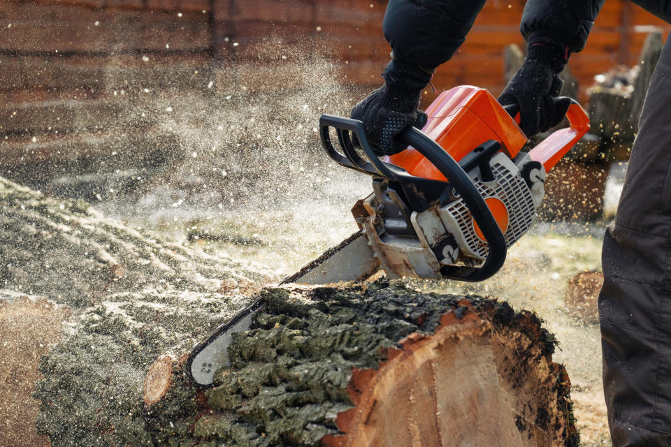 Person wearing gloves using a chainsaw to cut through a large tree log, with wood chips flying