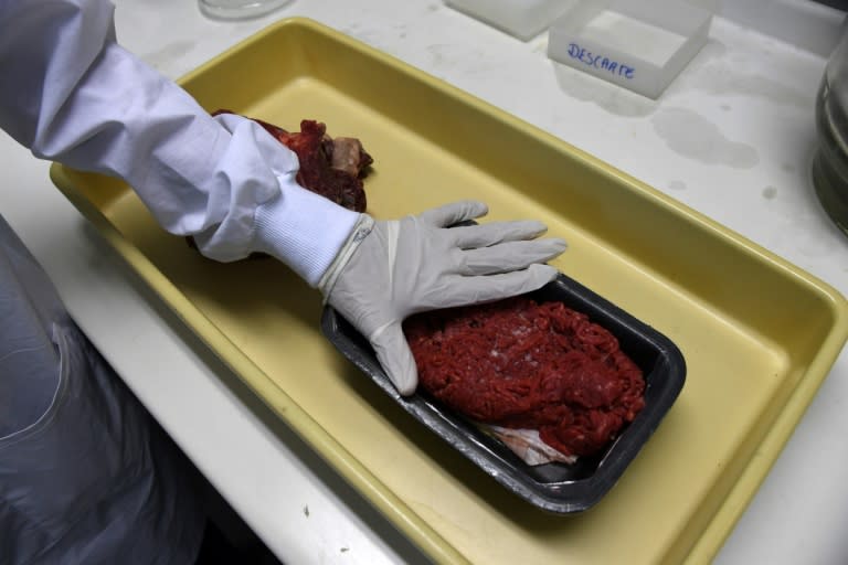 Experts get ready for analyzing animal meat seized in different markets in Rio de Janeiro, Brazil, on March 20, 2017, following a police investigation reporting allegations that corrupt exporters sold tainted products