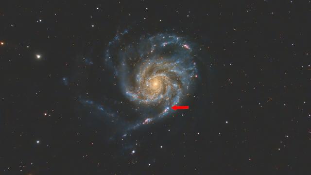 New supernova in the Pinwheel Galaxy now visible with a telescope