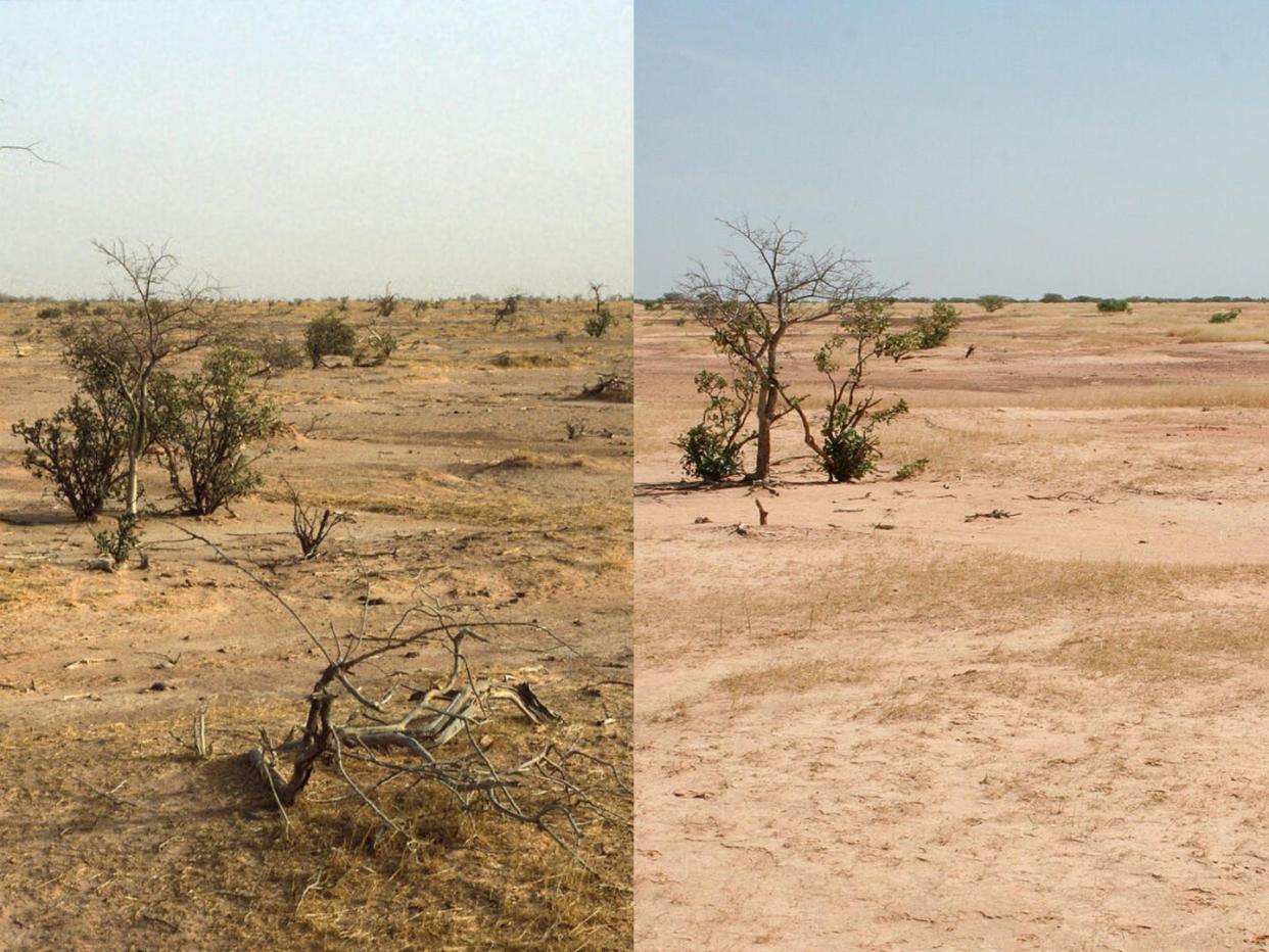 Side-by-side images of Senegal showing land degradation over nearly 20 years with browner soil and less greenery on the right