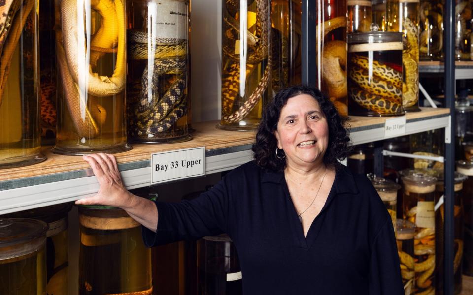 Clare Valentine, Head of Life Sciences Collections at the Natural History Museum