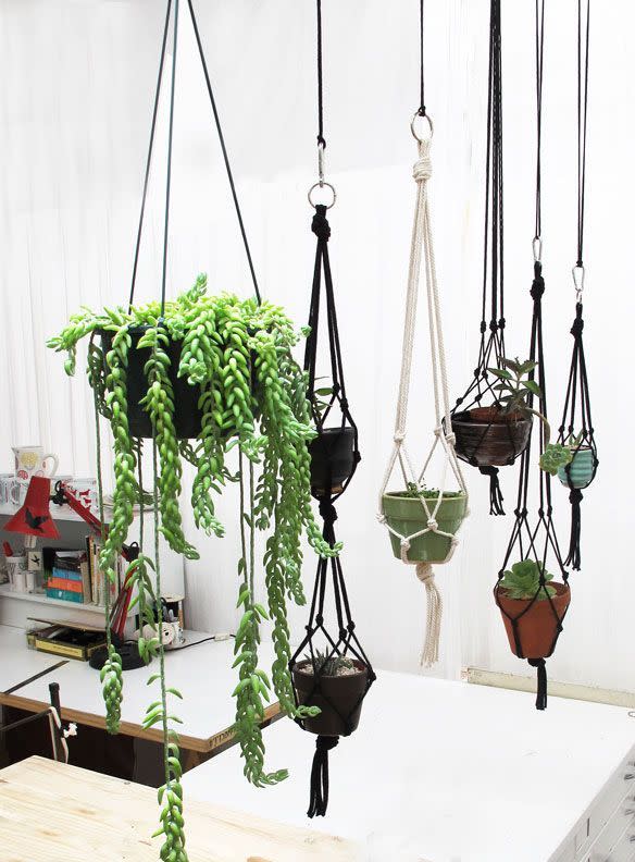 DIY Hanging Succulent Wall