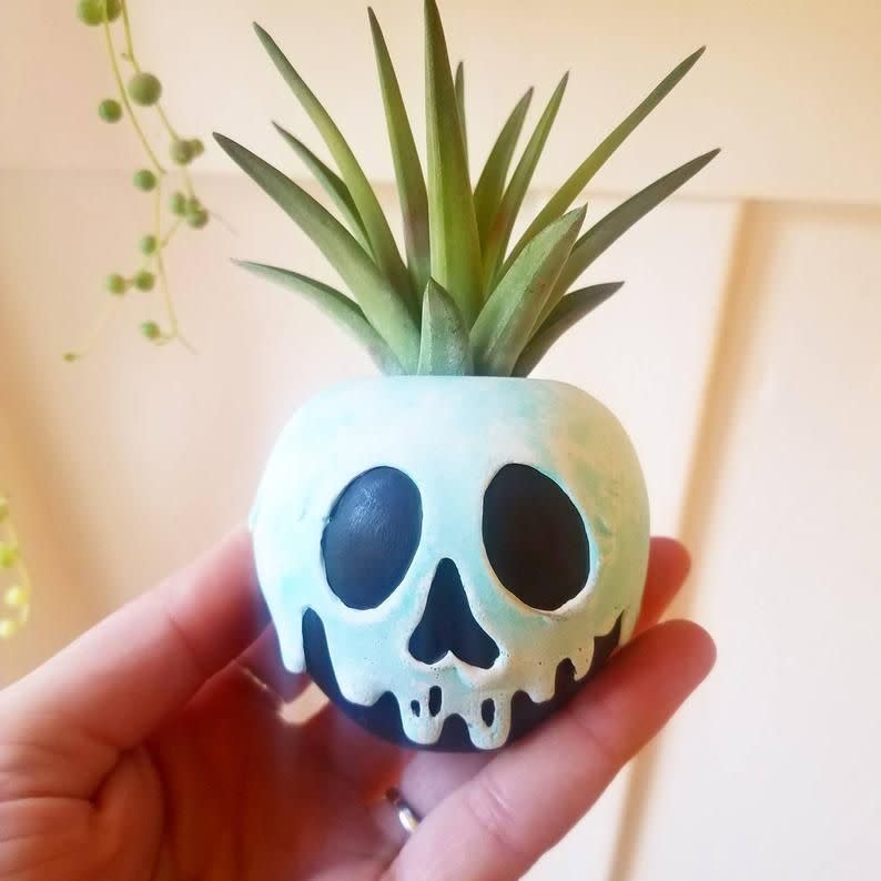 27) Poison Apple Planter