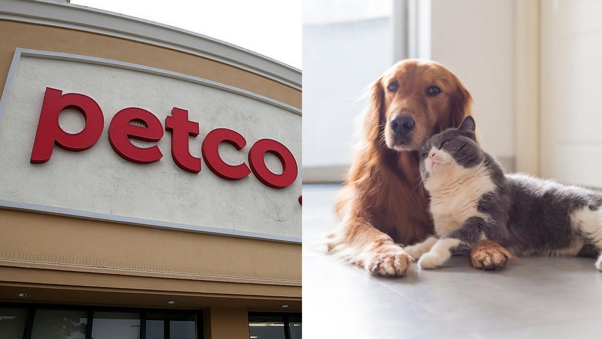 Now's the time to stock up on all the pet stuff you need.