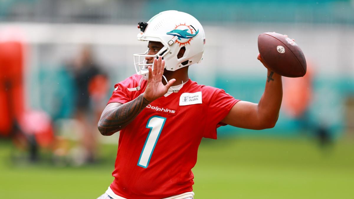 Miami Dolphins are the 'most explosive team' in NFL - Peter King, Pro  Football Talk