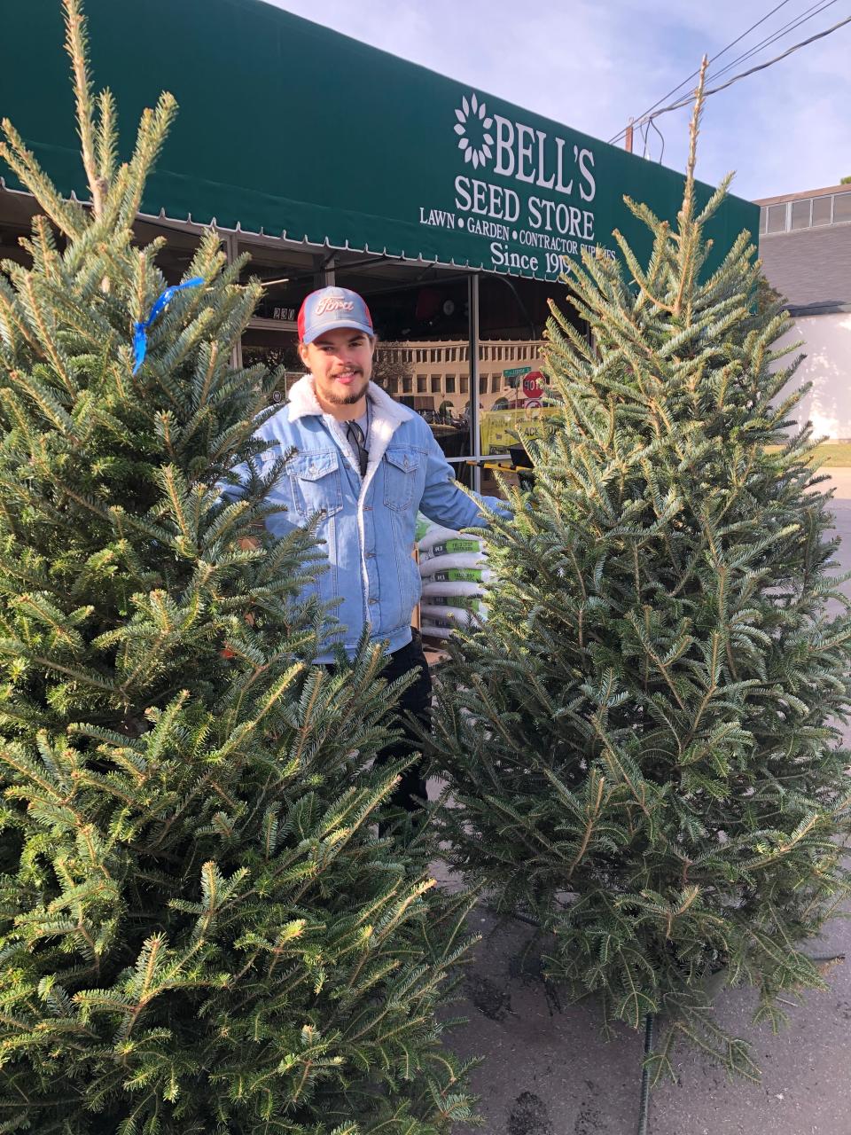 Bell's Seed Store employee Benjamin Byrd with a pair of this year's available Christmas trees..