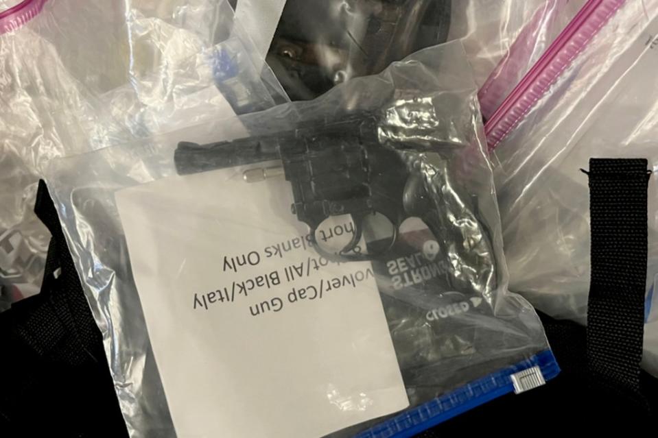 Investigators found a cache of weapons in Dorothy Hirsch’s apartment that allegedly belonged to her estranged husband. Queens County DA's Office