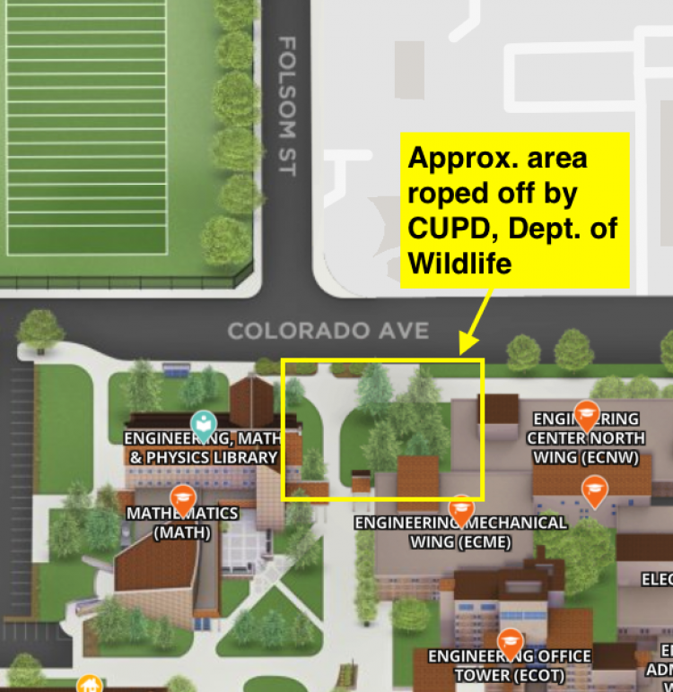 A map illustrating where a bear was spotted on the University of Colorado Boulder campus on Sept. 12, 2023.