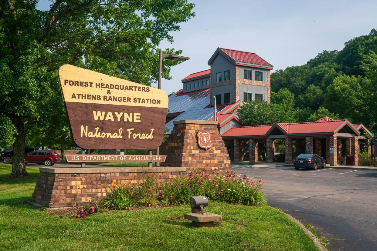 Wayne National Forest is under consideration for a name change. One of the proposals is Buckeye National Forest.