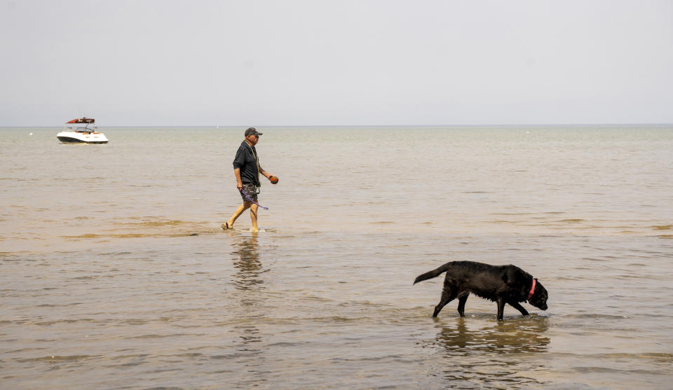 Image: George Ayers and his dog, Sonora, walk through the shallow waters of South Lake Tahoe. (Jim Seida / NBC News)