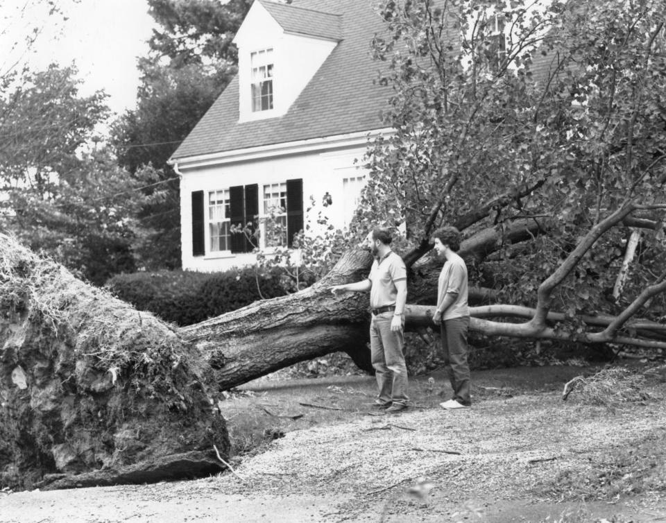 Hurricane Gloria hit the Taunton area in September, 1985. Trees fell, flood waters rose, and some residents took to emergency shelters to ride out the storm.