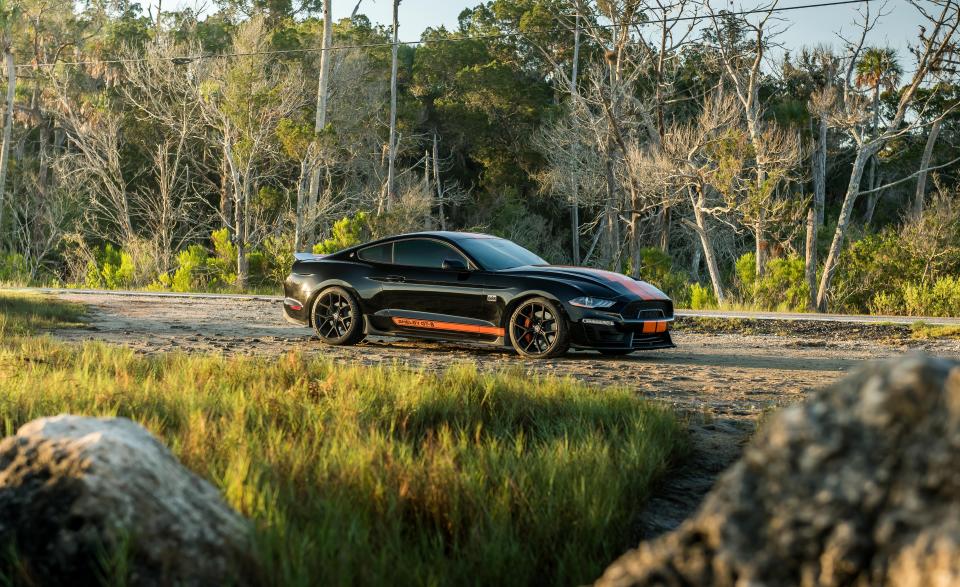 See Photos of the 2019 Ford Mustang Shelby GT-S