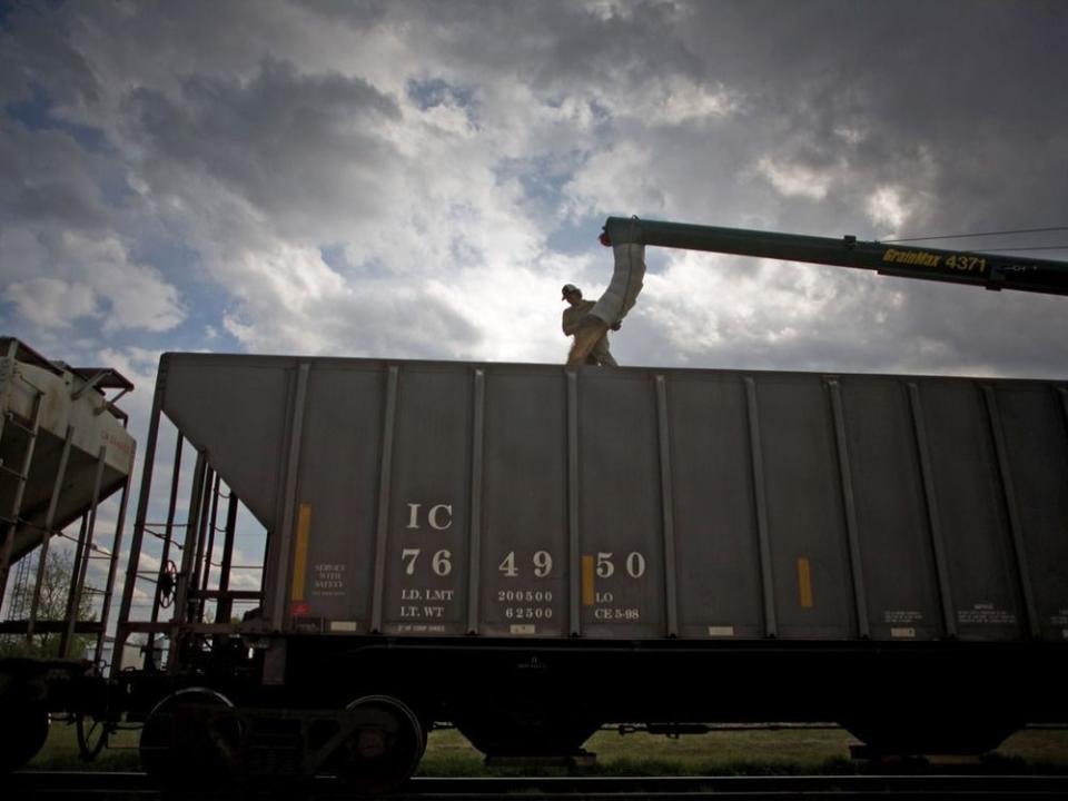  A worker directs grain into a train car in Alberta.