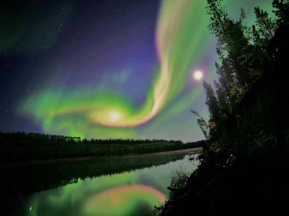 aurora borealis green red above a pine lake