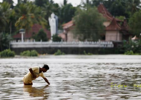 A man searches the water on a flooded road in Dodangoda village in Kalutara, Sri Lanka May 28, 2017. REUTERS/Dinuka Liyanawatte