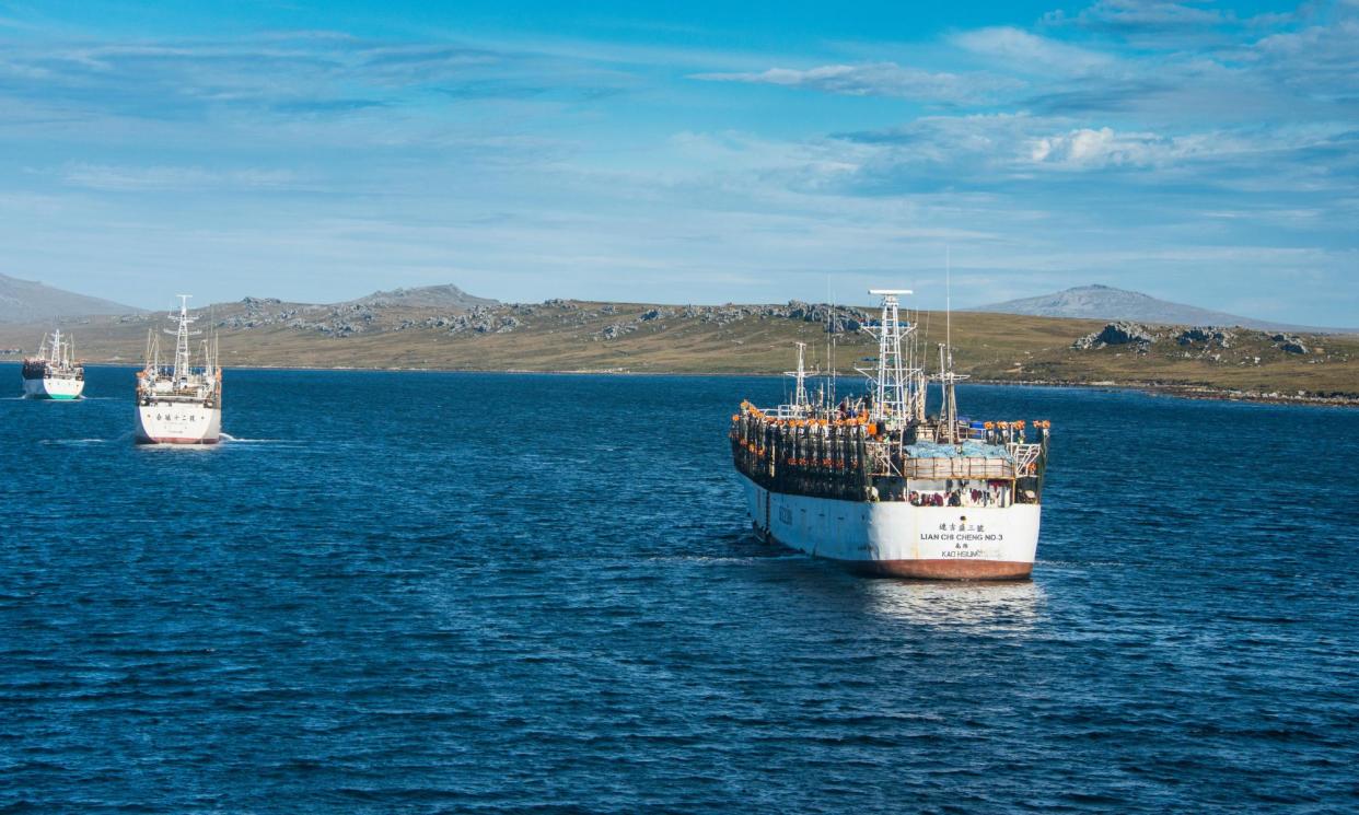 <span>Chinese squid trawlers on the approach to Stanley, capital of the Falkland Islands in the south Atlantic Ocean.</span><span>Photograph: robertharding/Alamy</span>