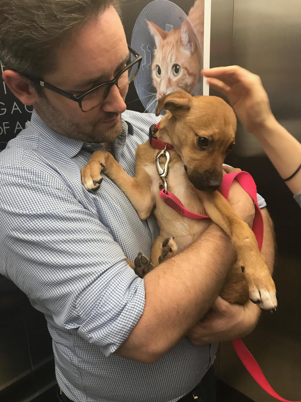 "Here's our dog, Penny. This is the moment in the elevator at <a href="https://www.instagram.com/bideawee/" target="_blank">Bideawee's adoption center</a>&nbsp;in New York&nbsp;when we knew we had found the perfect little girl." --<i> John Sechrist, Penny's dad (Follow <a href="https://www.instagram.com/puppypapajohn/" target="_blank">Penny on Instagram</a>)</i>