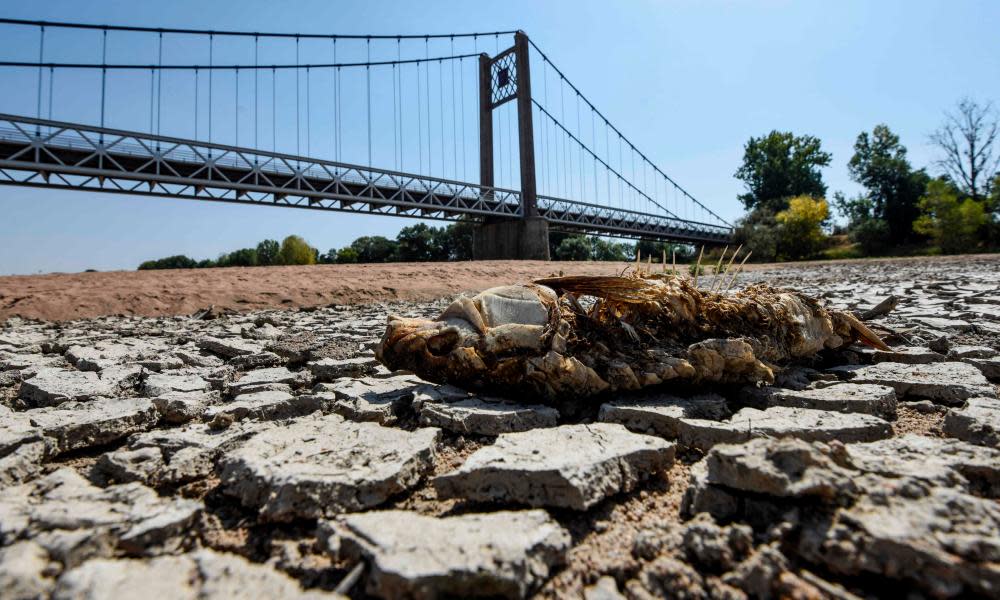 <span>Photograph: Sebastien Salom-Gomis/AFP/Getty</span>