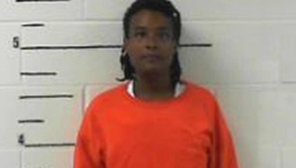 Krystal Pinkins pictured in her booking photo (Clay County Sheriff’s Office)