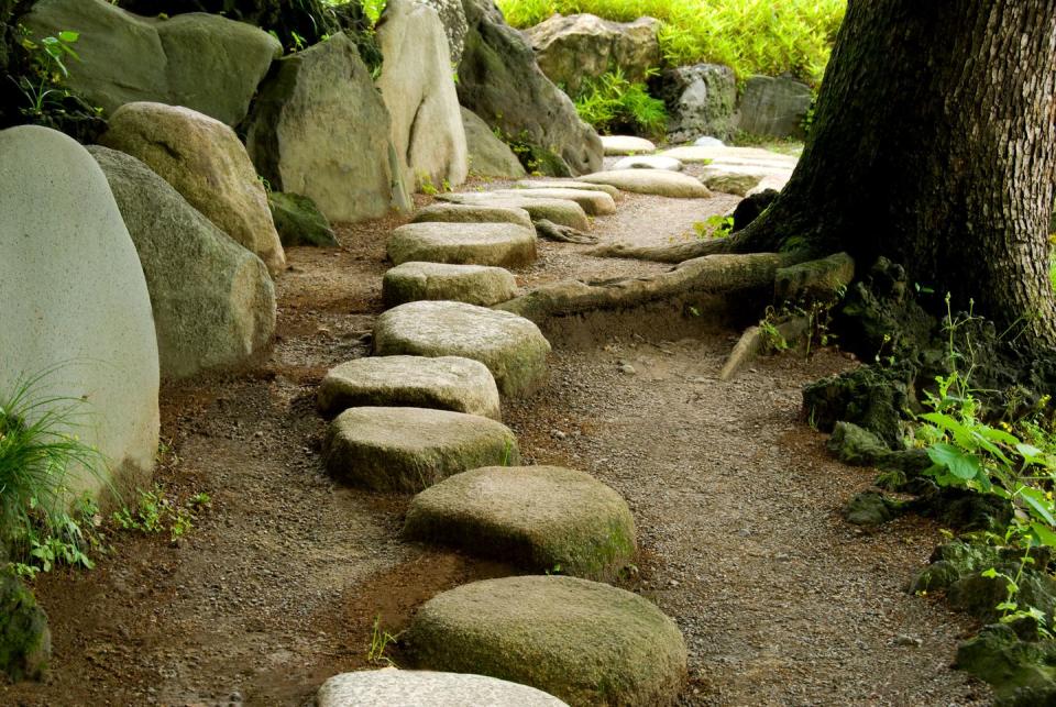 rock garden ideas stepping stones
